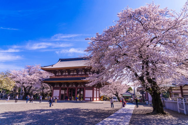 池上本門寺（大田区）