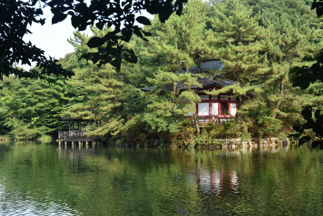 練馬区（石神井公園）の風景