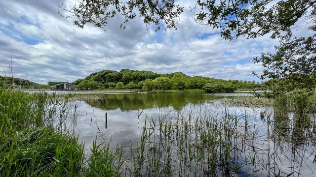 21世紀の森と広場公園の風景